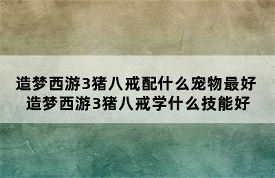 造梦西游3猪八戒配什么宠物最好 造梦西游3猪八戒学什么技能好